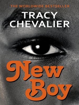 cover image of New Boy